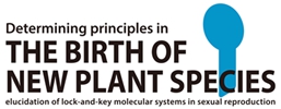 BNPS_LOGO
