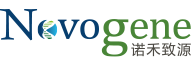 novo