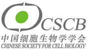 CSCB LOGO s