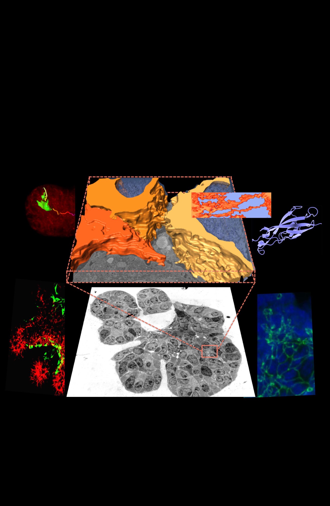 2019 EventsCold Spring Harbor Asia